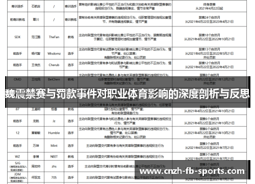 魏震禁赛与罚款事件对职业体育影响的深度剖析与反思