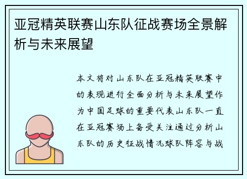 亚冠精英联赛山东队征战赛场全景解析与未来展望